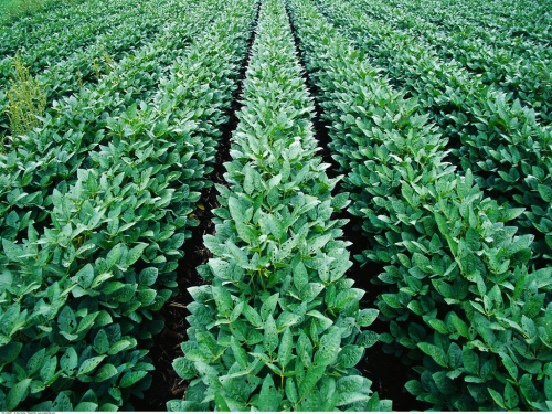 熟食柜-北京朝陽“金牌農夫生活超市”